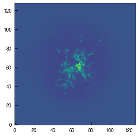 ../_images/PythonExamples_Projection_Slice_Tutorial_36_0.png